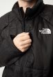 The North Face - Circaloft Tnf Black - Jacket Cheap